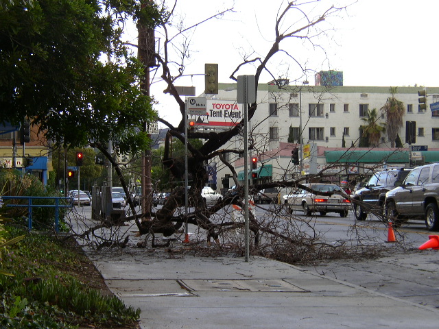 [P9220357.JPG]