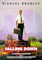 Falling Down Film