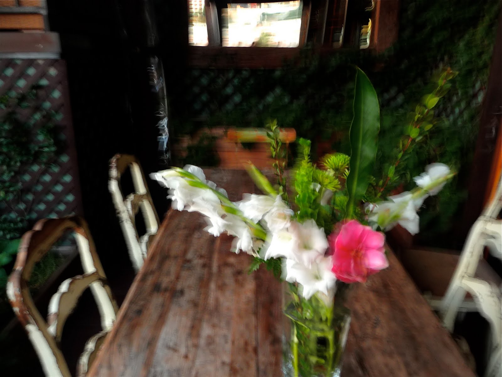 [P1140236.JPG]