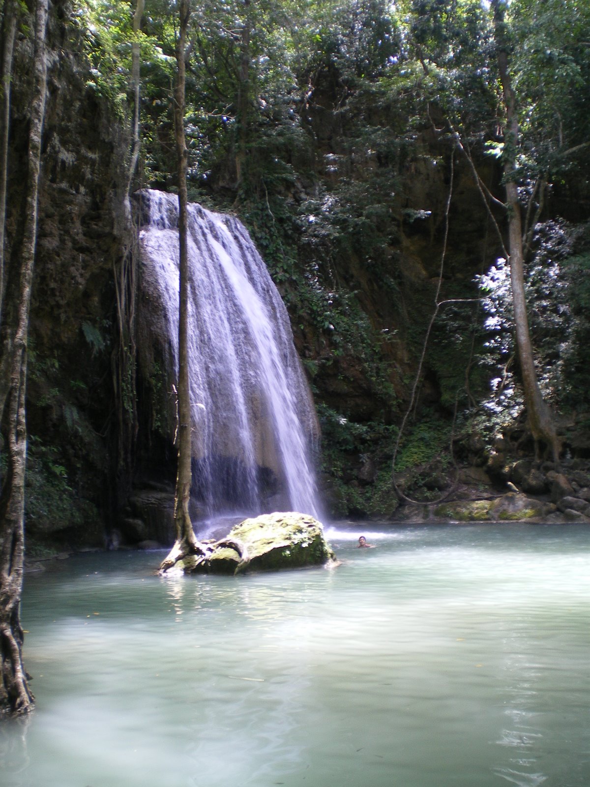 [IMGP0075.JPG]