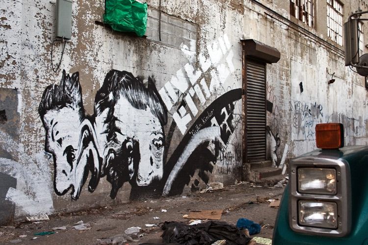 [bronx-faces-truck.jpg]