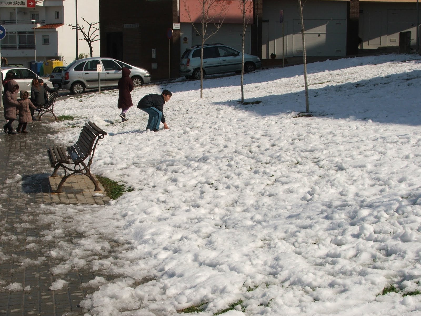 [DSCF4409.JPG]