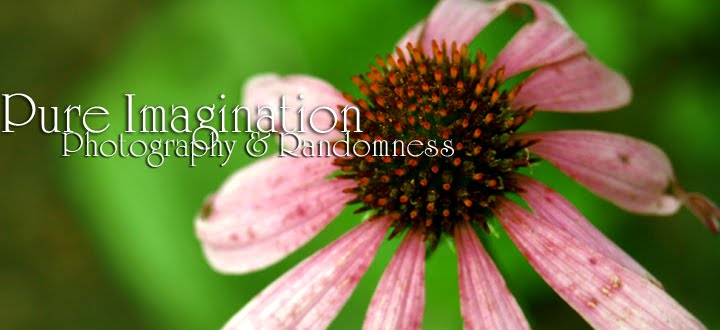 Pure Imagination | Photography and Randomness