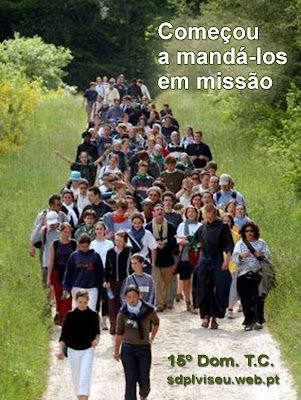 15º Domingo do T.C.
