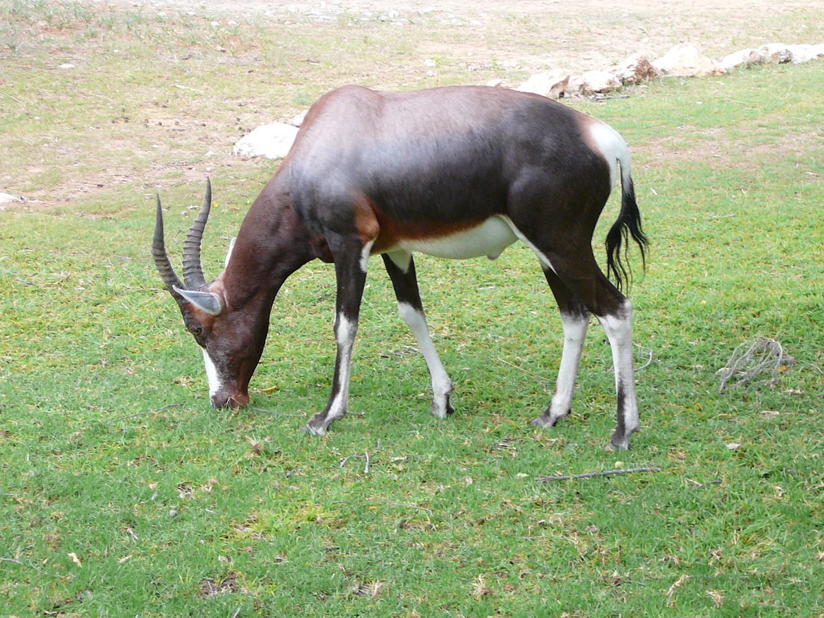 [P1000716.JPG]