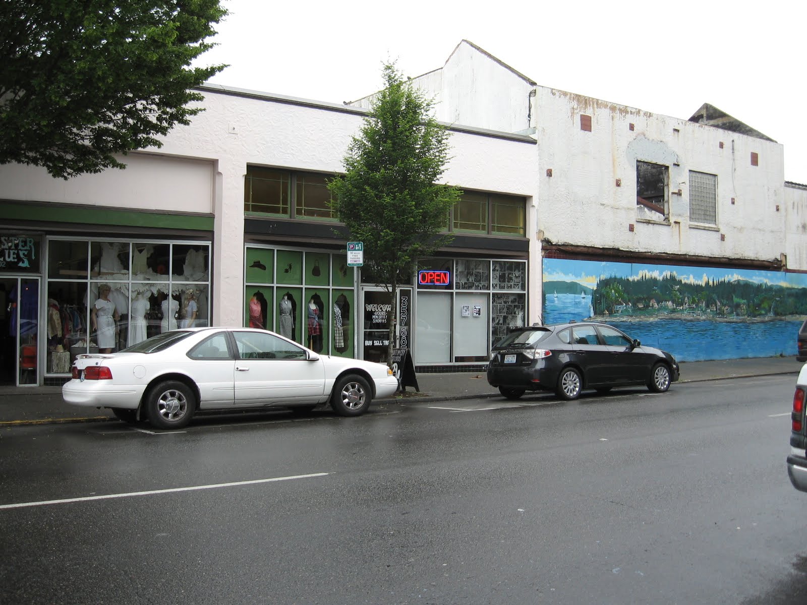 Nuclear Noise The Record Stores Of Olympia, WA