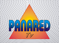 PANARED TELEVISION