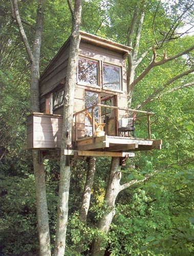 [169940658_f79a2e2de7.jpg]