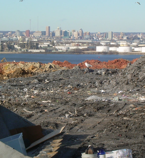 Baltimore InnerSpace Quarantine Landfill