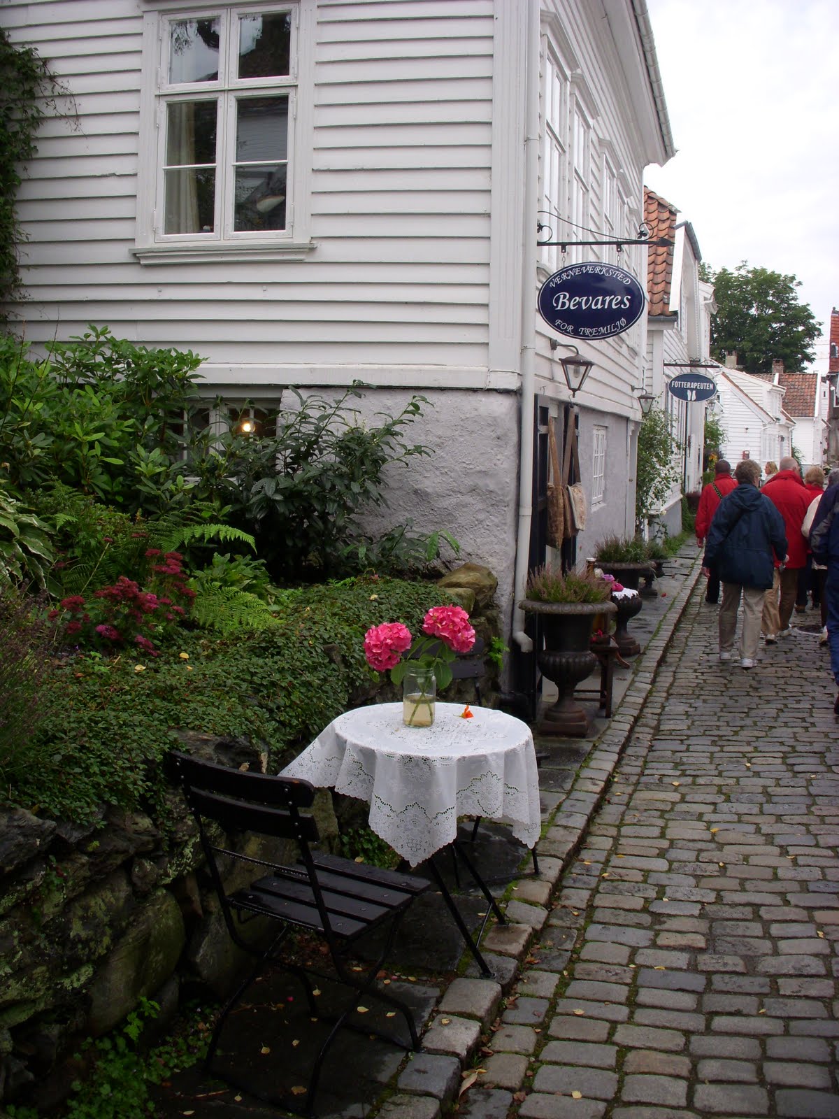[DSCN9125.JPG]