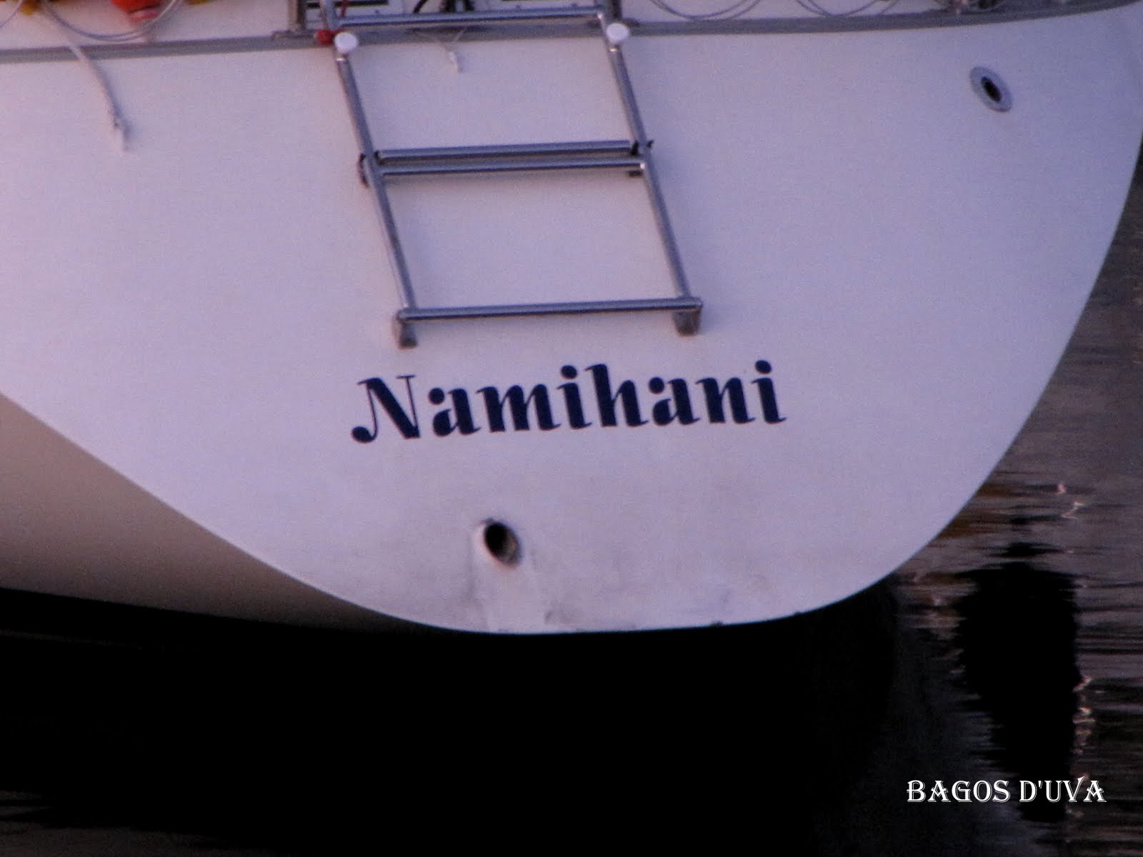 [NAMIHANI_.JPG]