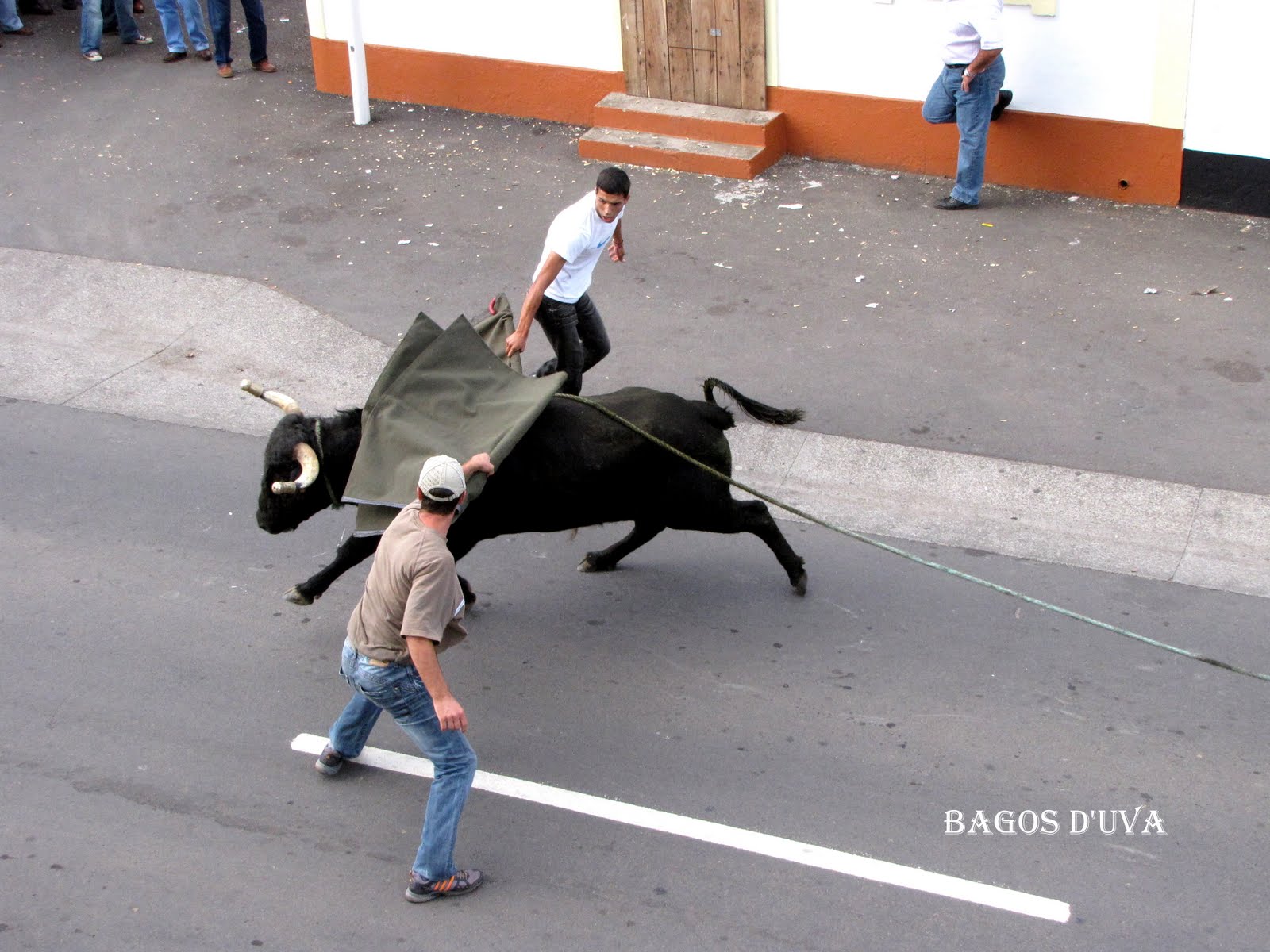 [TOURADAS_CORDA_+(5).JPG]