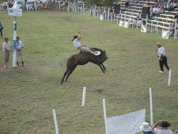 Un Gaucho y Caballo