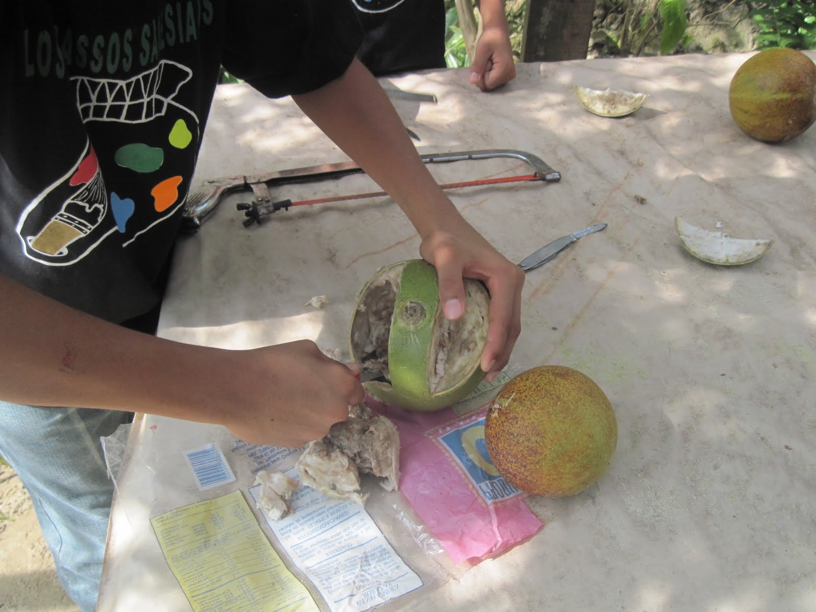 Los Picassos PROCESO DE FABRICACIÓN DE TOTUMAS