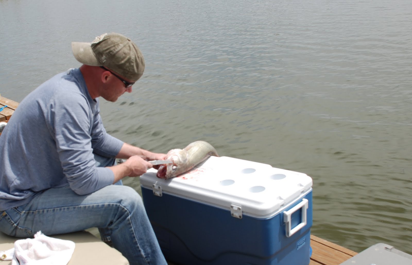 Montana Sporting Journal Walleye Cheeks