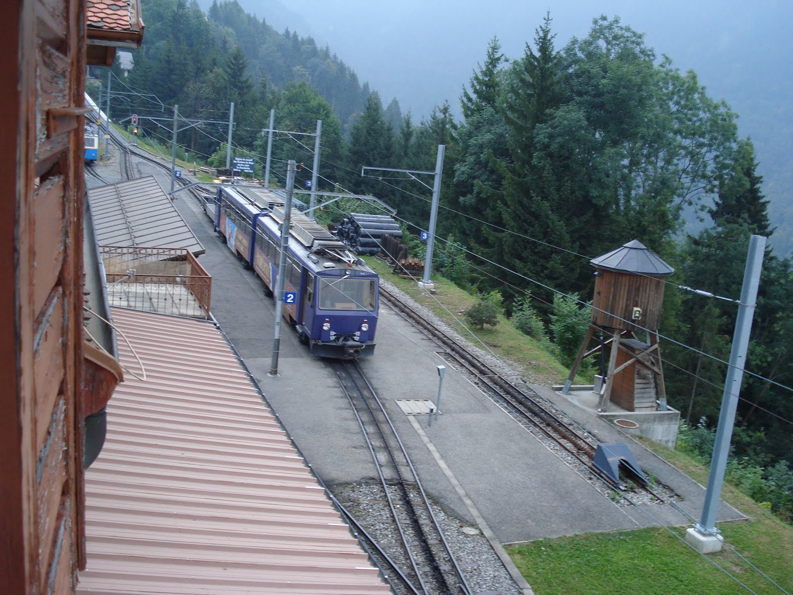 [DSC01306.JPG]