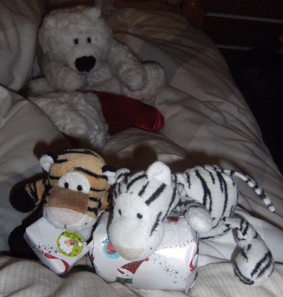 [Tigers+and+presents.JPG]