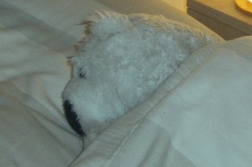 [Dsleeping.JPG]