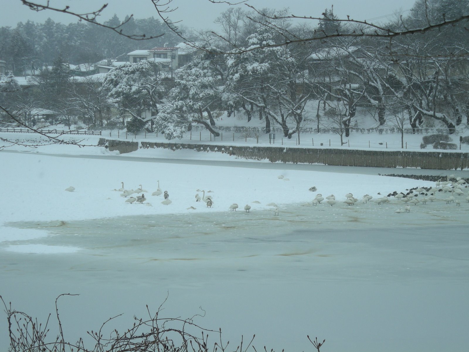 [DSCN1172.JPG]