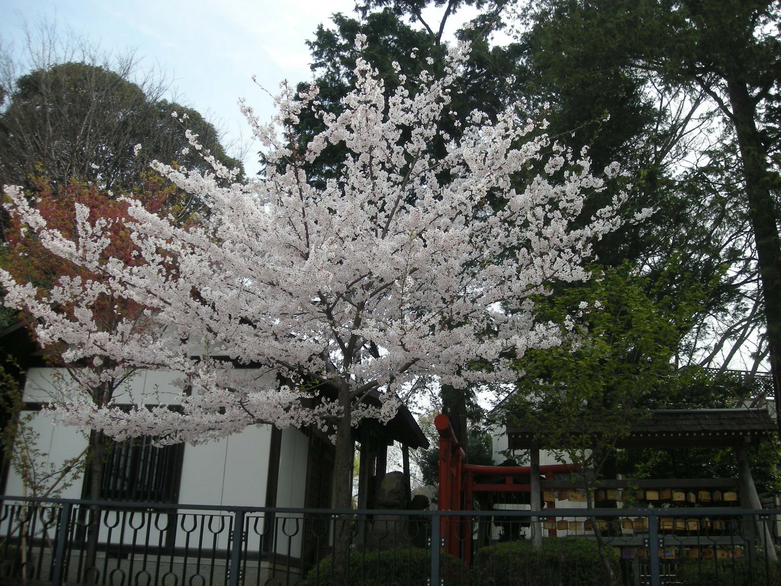[DSCN1346.JPG]