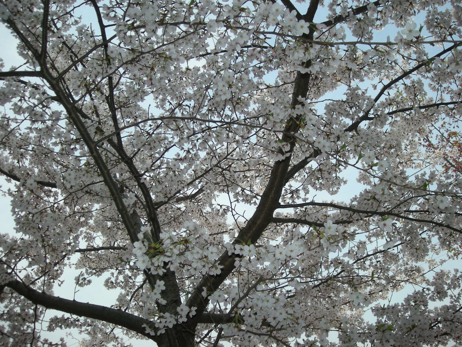 [DSCN1358.JPG]