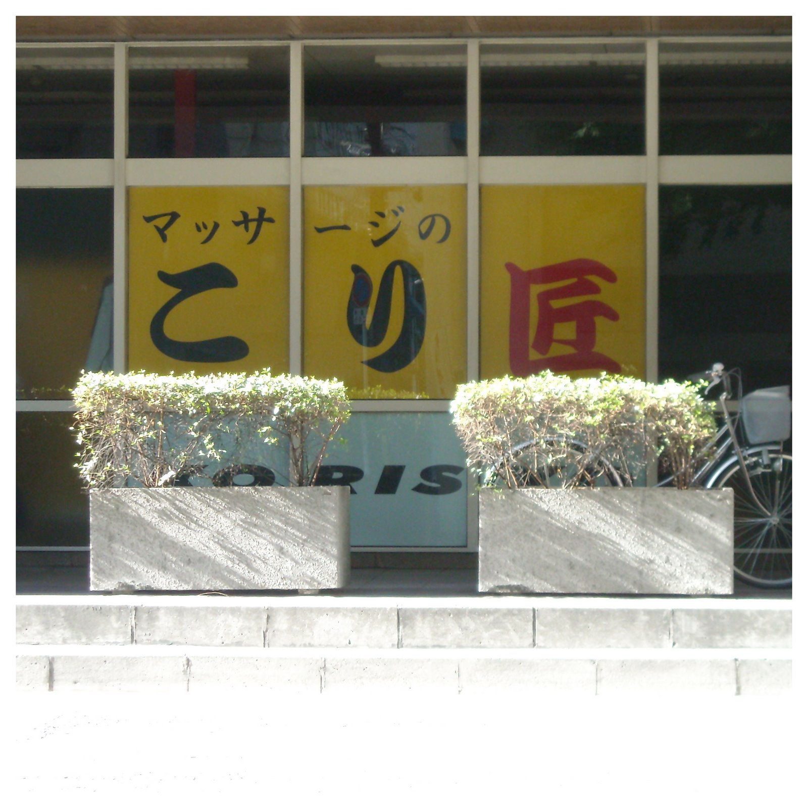 [DSCN2138.JPG]