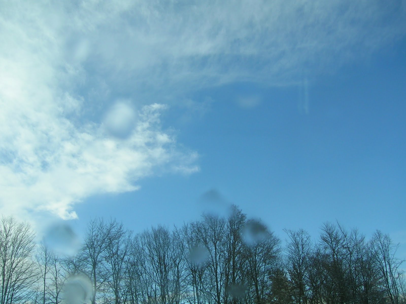 [DSCN4295.JPG]