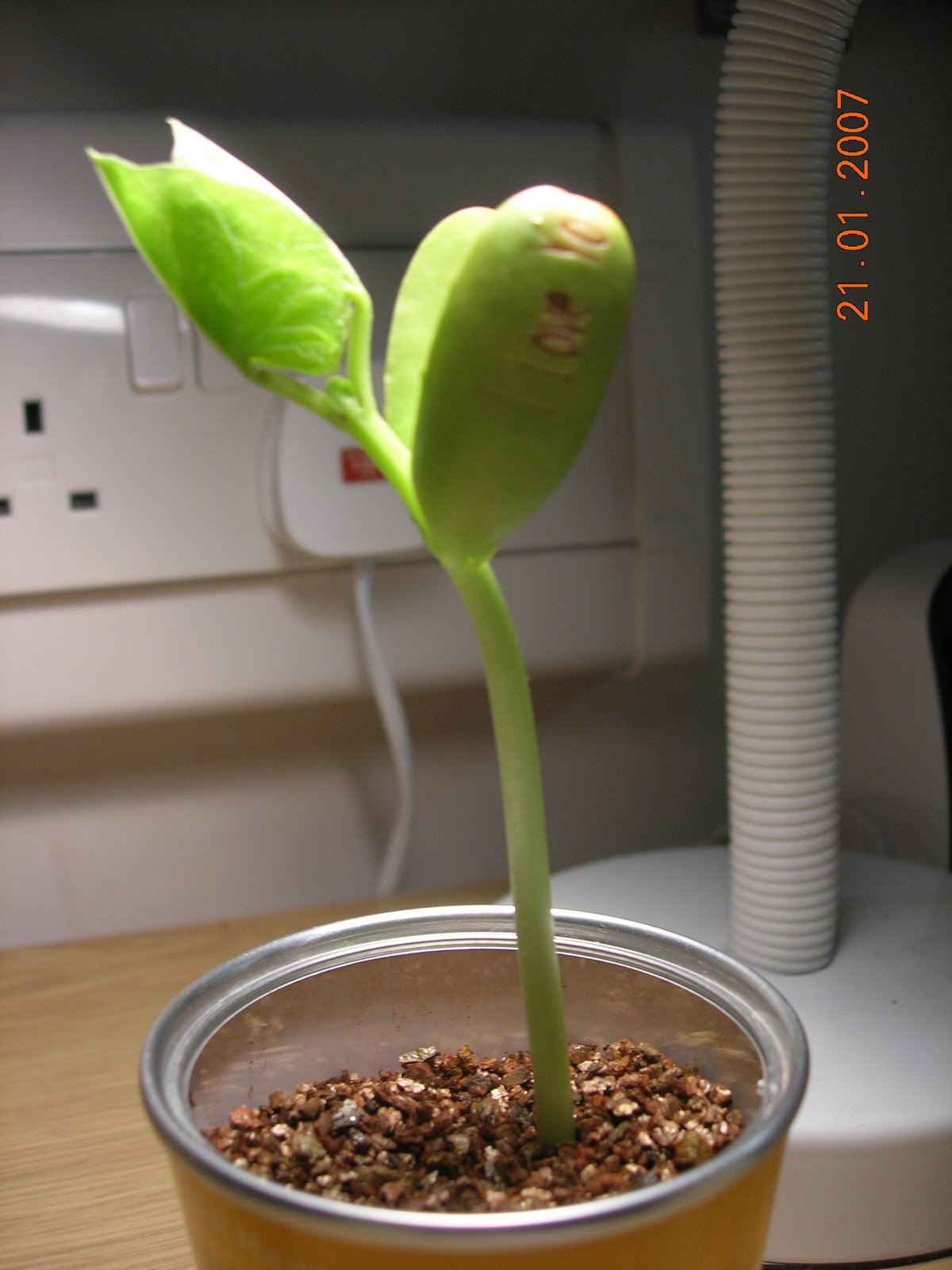 [DSCN3099.JPG]