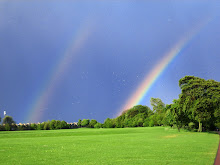 Whoever watches the wind will not plant; whoever looks at the clouds will not reap. Ecc 11:4