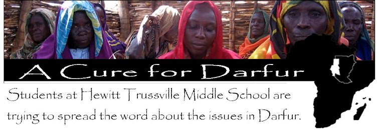A Cure for Darfur