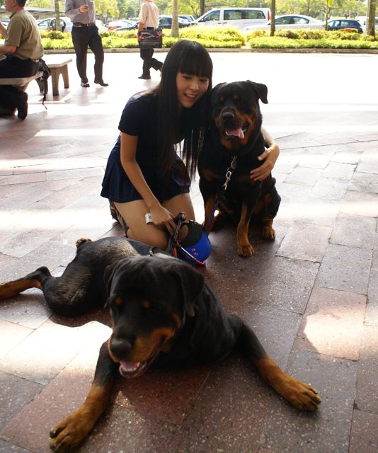 [DSC04209.jpg]