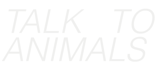 TALK TO ANIMALS