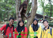 TEAM PRIHATIN ORANG UTAN