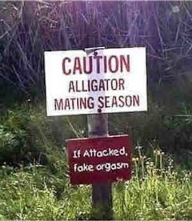 alligatoraign.jpg