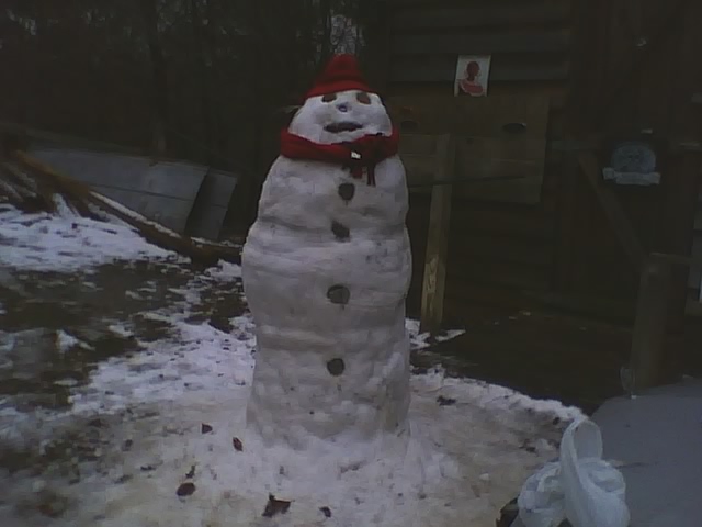 Henry the Snowman