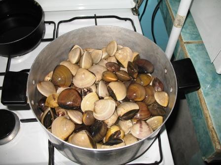[Cooking+clams+comp.JPG]