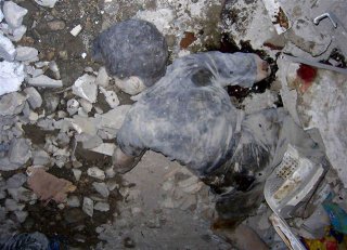 [deadboyonrocks.jpg]