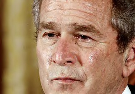 [BushHypocrite.jpg]