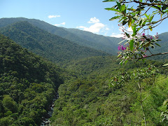 Biodiversidade...