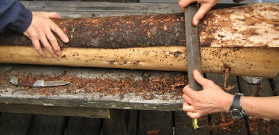 Erin Curry- preparing bark to weave 3