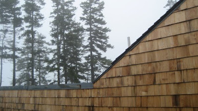 Erin Curry art- Haystack rooftop
