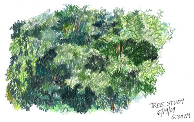 Pencil Forest