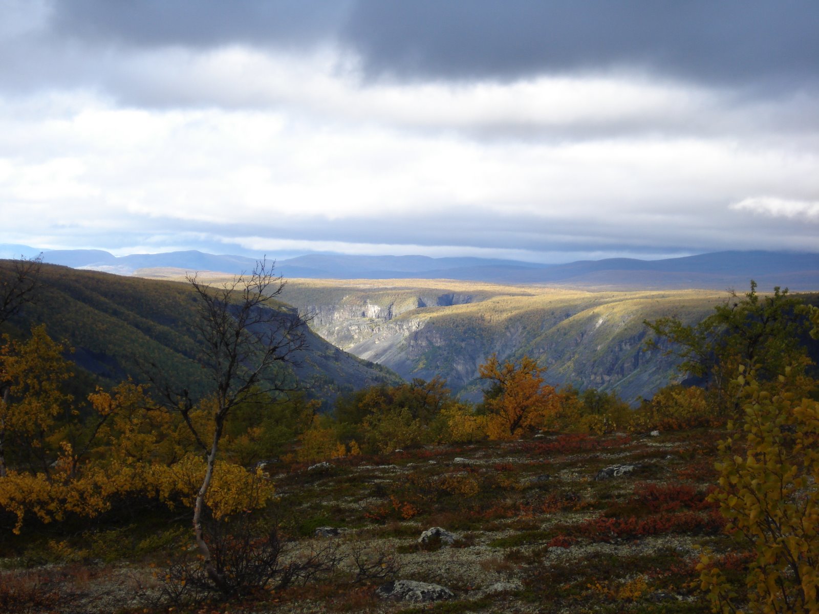 [DSC02170.JPG]