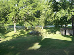 My backyard!