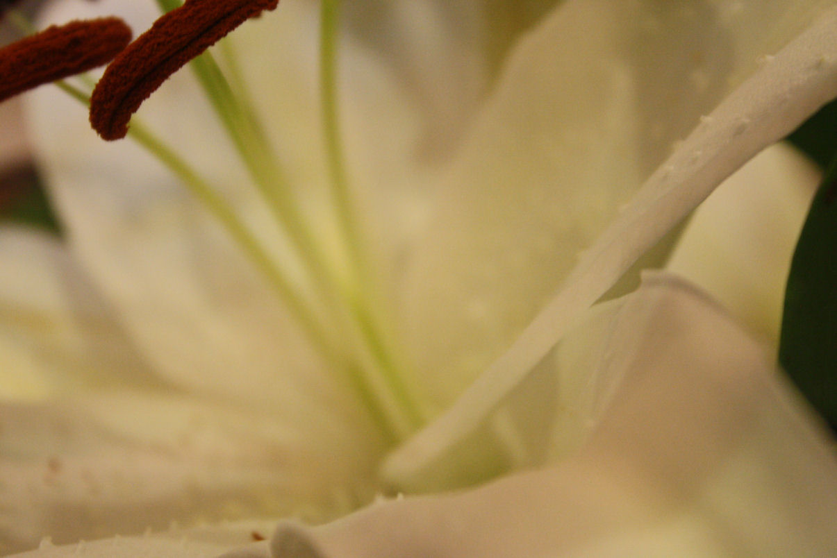 [IMG_0452+-+Copy.JPG]
