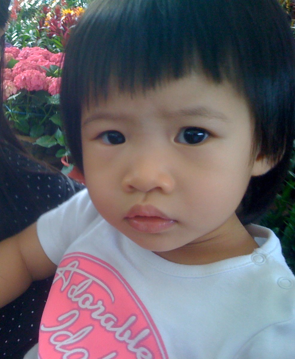 [IMG_0162.JPG]