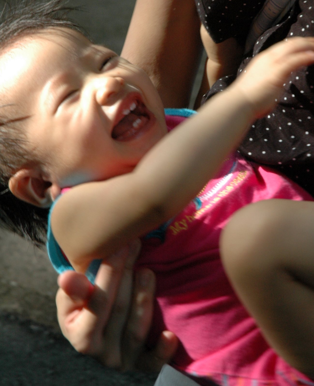 [DSC_4920.JPG]