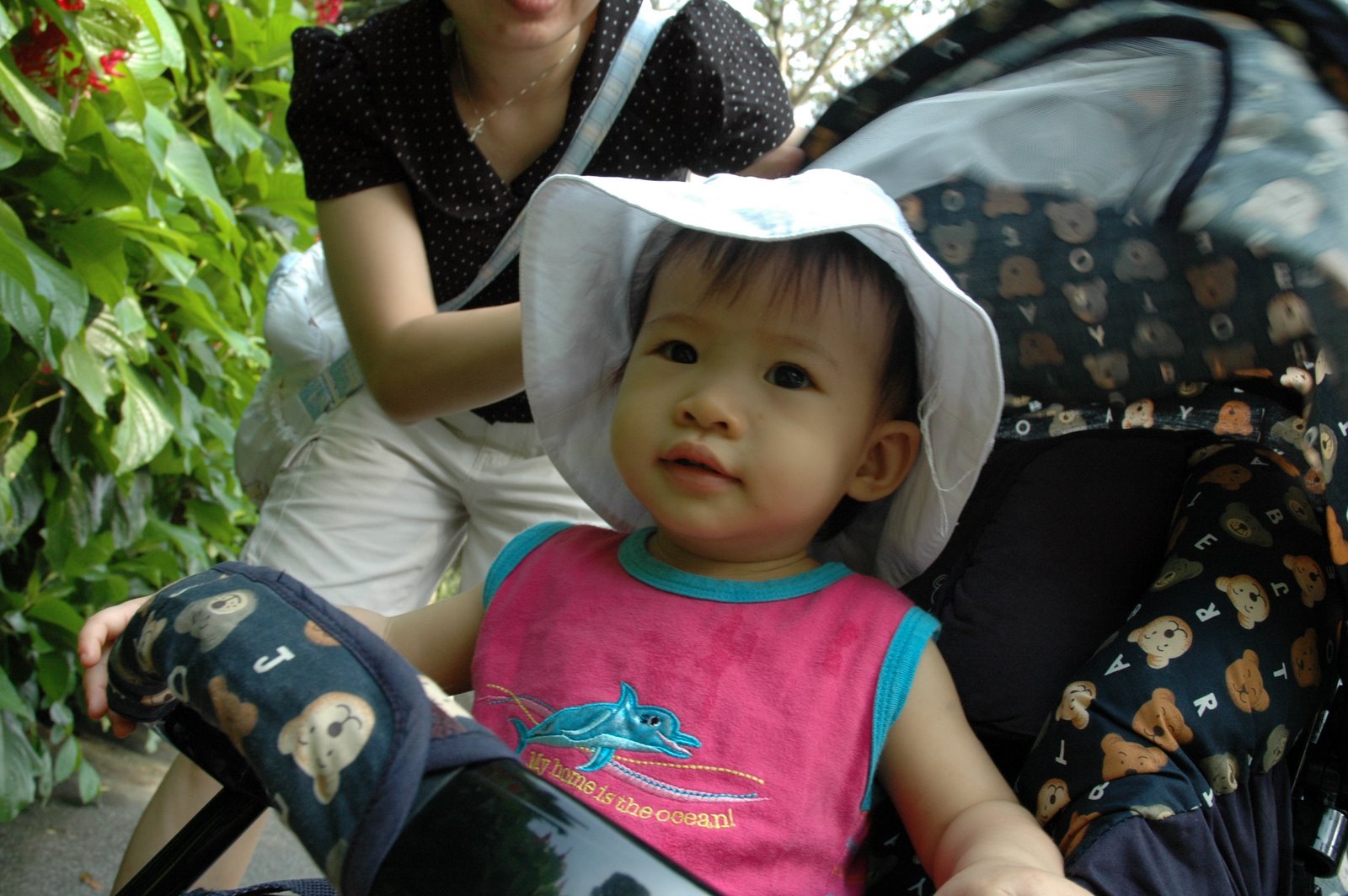 [DSC_4889.JPG]