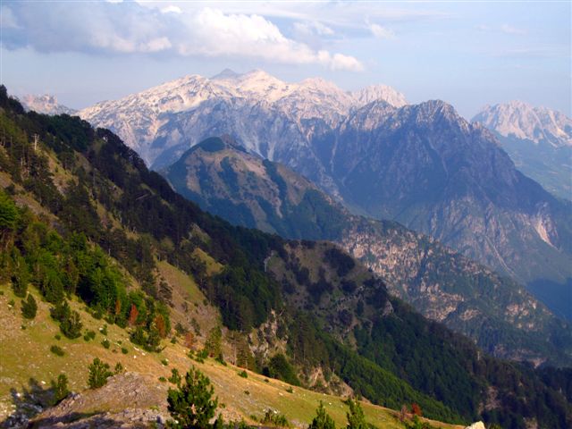 [IMG_5810.jpg]