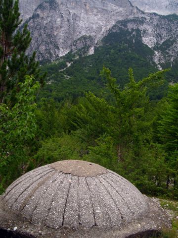 [IMG_5899.jpg]